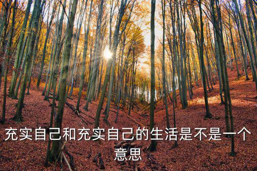 充實自己和充實自己的生活是不是一個意思