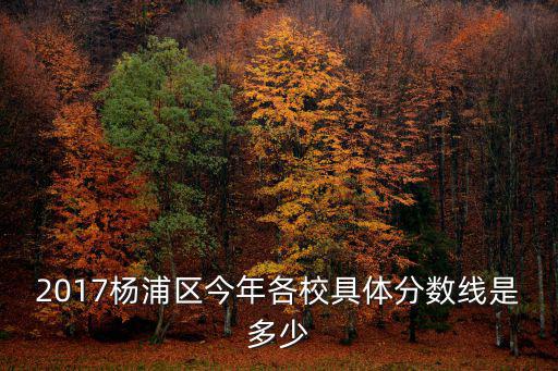 2017楊浦區今年各校具體分數線是多少