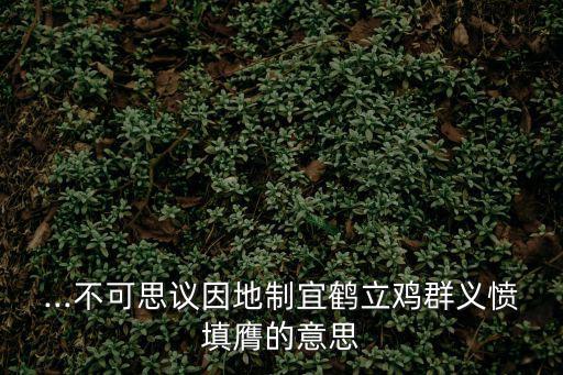 ...不可思議因地制宜鶴立雞群義憤填膺的意思