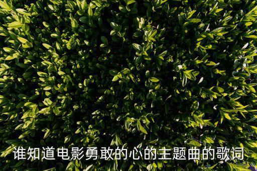 誰知道電影勇敢的心的主題曲的歌詞