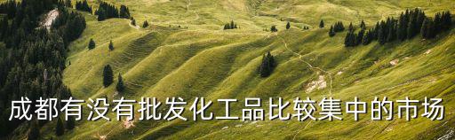 成都有沒有批發化工品比較集中的市場