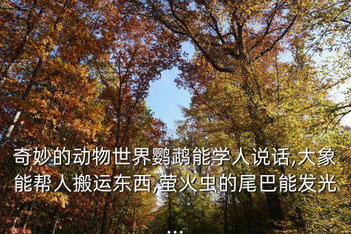 奇妙的動物世界鸚鵡能學人說話,大象能幫人搬運東西,螢火蟲的尾巴能發光...