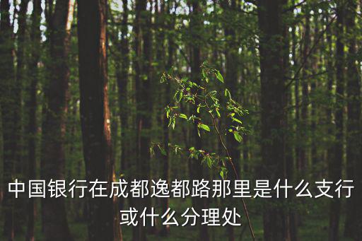 中國銀行在成都逸都路那里是什么支行或什么分理處