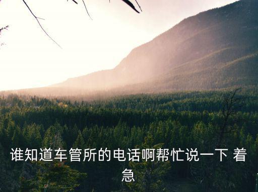誰知道車管所的電話啊幫忙說一下 著急