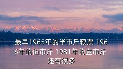 最早1965年的半市斤糧票 1966年的伍市斤 1981年的壹市斤 還有很多