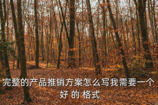 完整的產(chǎn)品推銷方案怎么寫我需要一個 好 的 格式