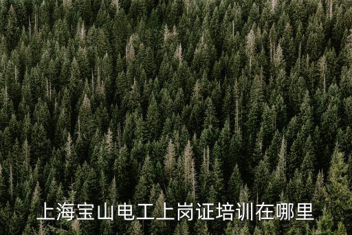 上海寶山電工上崗證培訓在哪里