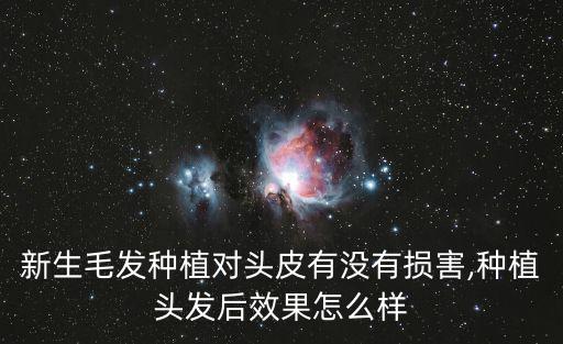 頭部毛發種植,頭發種植有用嗎?