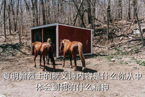 夏明翰烈士的就義詩內容是什么你從中體會到他的什么精神