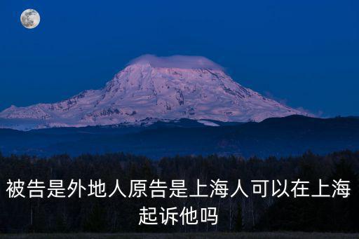 在上海起訴需要什么條件，在上海浦東經濟糾紛到法院需要哪些手續