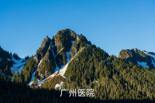 廣州醫院總床位數量，廣州市省人民醫院