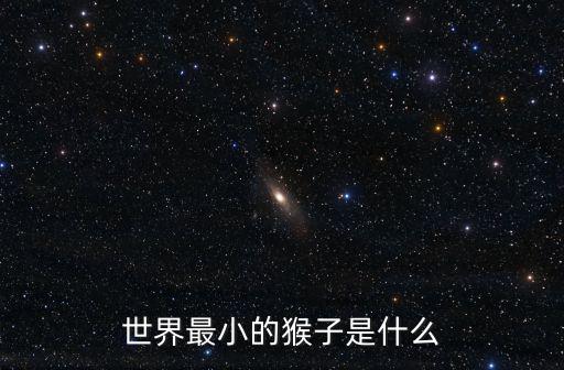 世界最小的猴子是什么
