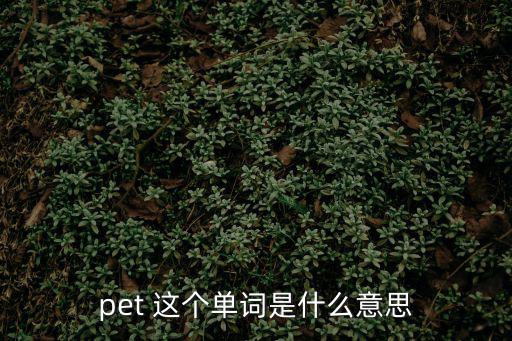 pet 這個(gè)單詞是什么意思