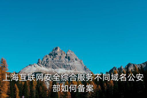 上海互聯網安全綜合服務網，上海駕駛證降級在哪里辦理