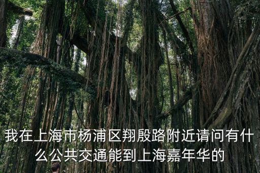 我在上海市楊浦區翔殷路附近請問有什么公共交通能到上海嘉年華的