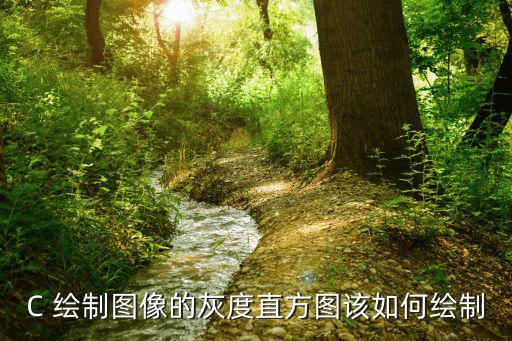 C 繪制圖像的灰度直方圖該如何繪制