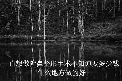 一直想做隆鼻整形手術不知道要多少錢 什么地方做的好