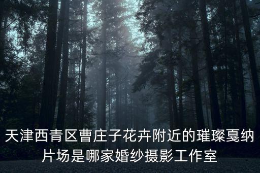 天津市西青區(qū)郭振強(qiáng)案件，天津市西青區(qū)程華欣苑現(xiàn)在沒有自來水是什么會事