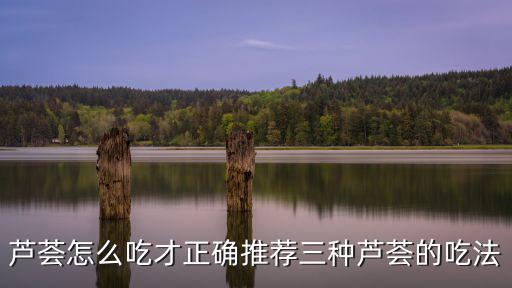 蘆薈怎么吃才正確推薦三種蘆薈的吃法