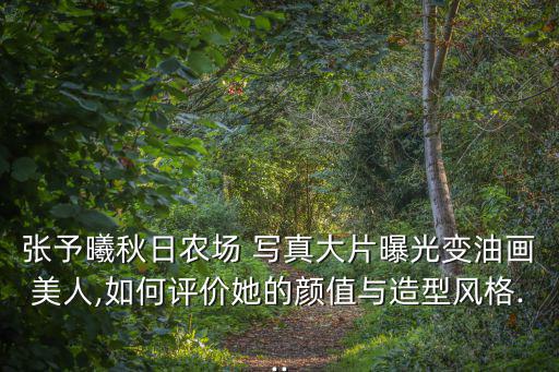 張予曦秋日農場 寫真大片曝光變油畫美人,如何評價她的顏值與造型風格...