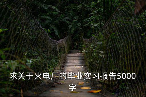 求關(guān)于火電廠的畢業(yè)實習報告5000字