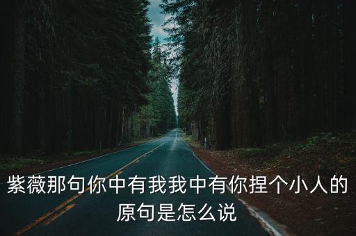 你還有我，紫薇那句你中有我我中有你捏個小人的原句是怎么說