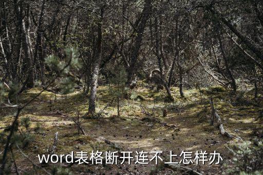 word表格斷開連不上怎樣辦