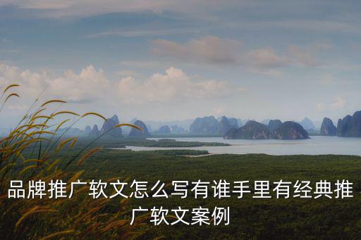 品牌推廣軟文怎么寫有誰手里有經(jīng)典推廣軟文案例