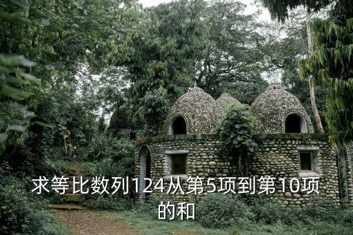 求等比數(shù)列124從第5項到第10項的和