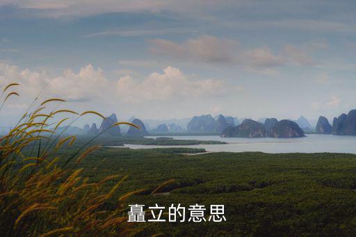 矗立的意思