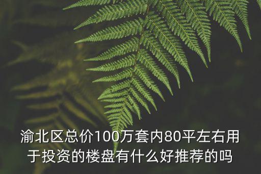 渝北區總價100萬套內80平左右用于投資的樓盤有什么好推薦的嗎