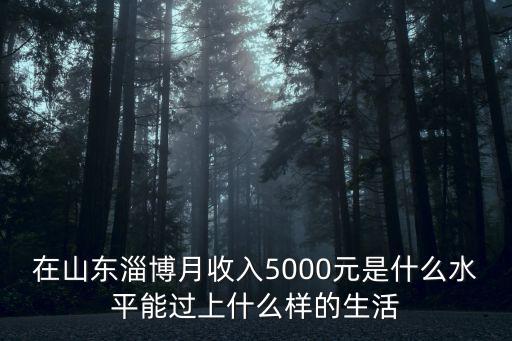在山東淄博月收入5000元是什么水平能過上什么樣的生活