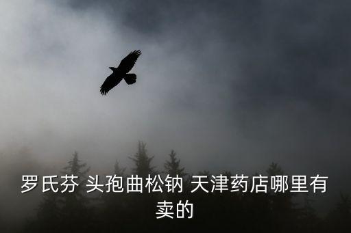 天津市特種藥藥店，天津市哪個藥店有賣鹽酸洛美沙星分散片的