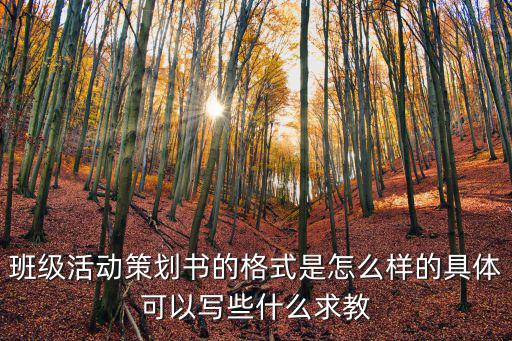 班級活動策劃書的格式是怎么樣的具體可以寫些什么求教