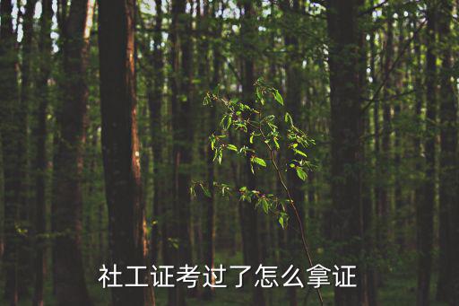 社工證考過了怎么拿證