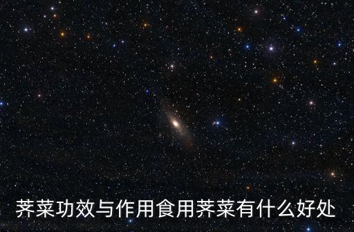 薺菜功效與作用食用薺菜有什么好處