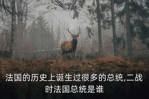 法國的歷史上誕生過很多的總統,二戰時法國總統是誰