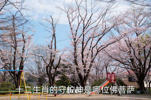十二生肖的守護神是哪位佛菩薩