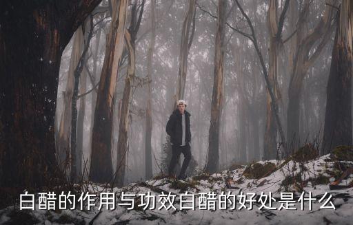 白醋的作用與功效白醋的好處是什么