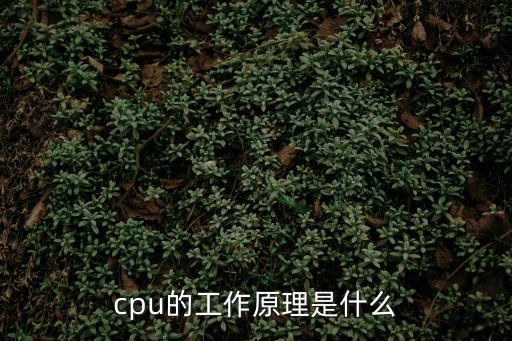 cpu的工作原理是什么