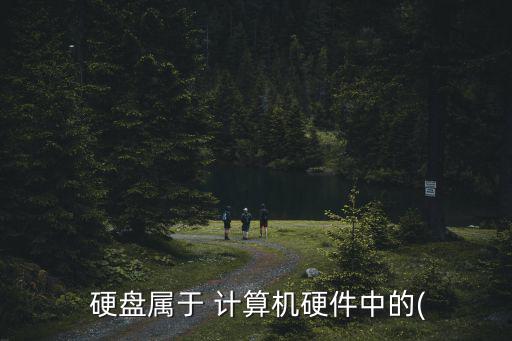  硬盤屬于 計算機硬件中的(