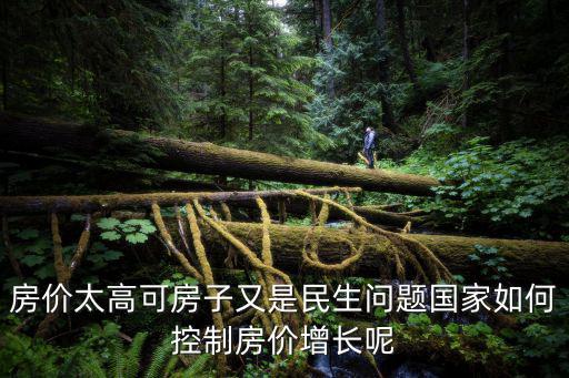 房價太高可房子又是民生問題國家如何控制房價增長呢