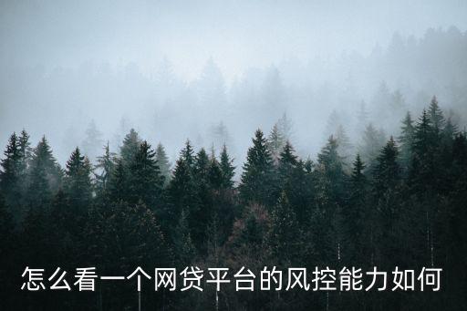 怎么看一個網貸平臺的風控能力如何