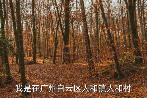我是在廣州白云區(qū)人和鎮(zhèn)人和村