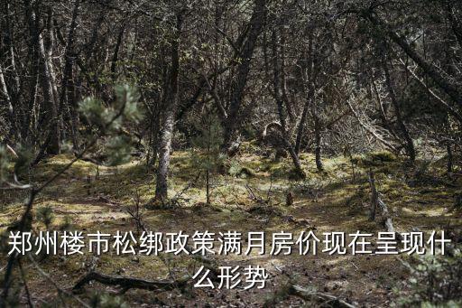 鄭州樓市松綁政策滿月房價現(xiàn)在呈現(xiàn)什么形勢