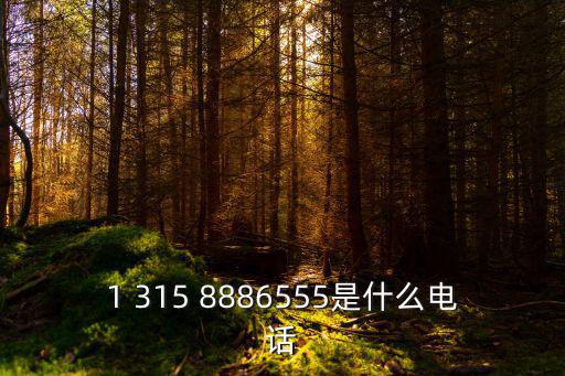 1 315 8886555是什么電話