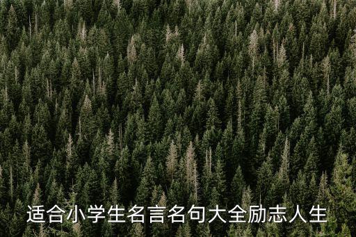 適合小學生名言名句大全勵志人生