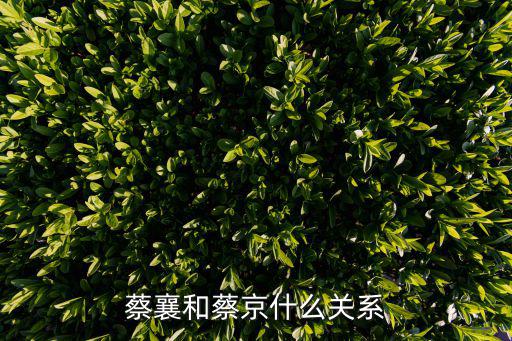 蔡襄書法,四大書法家之首蔡襄建造洛陽橋