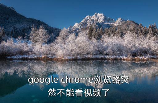 google chrome瀏覽器突然不能看視頻了