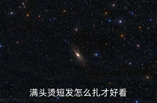 滿頭燙短發(fā)怎么扎才好看